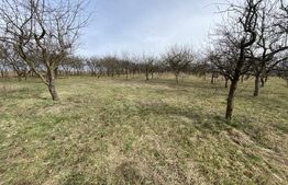 Teren intravilan de vanzare, 5400 mp, in zona Ortelec 