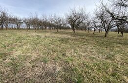 Teren intravilan de vanzare, 5400 mp, in zona Ortelec 