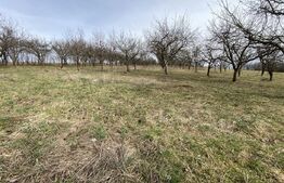 Teren intravilan de vanzare, 5400 mp, in zona Ortelec 