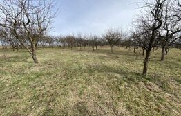 Teren intravilan de vanzare, 5400 mp, in zona Ortelec 