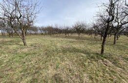 Teren intravilan de vanzare, 5400 mp, in zona Ortelec 