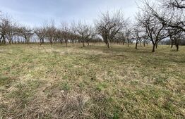 Teren intravilan de vanzare, 5400 mp, in zona Ortelec 