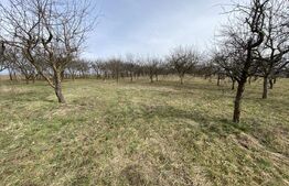 Teren intravilan de vanzare, 5400 mp, in zona Ortelec 