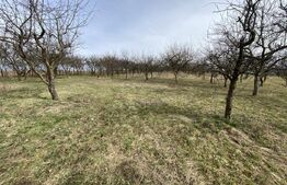 Teren intravilan de vanzare, 5400 mp, in zona Ortelec 