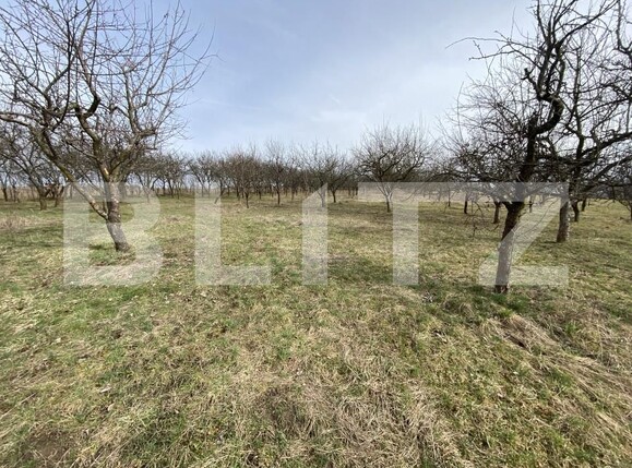 Teren de vânzare Exterior-Est - 167413TV | BLITZ Zalău | Poza4