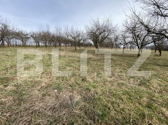 Teren de vânzare Exterior-Est - 167413TV | BLITZ Zalău | Poza7