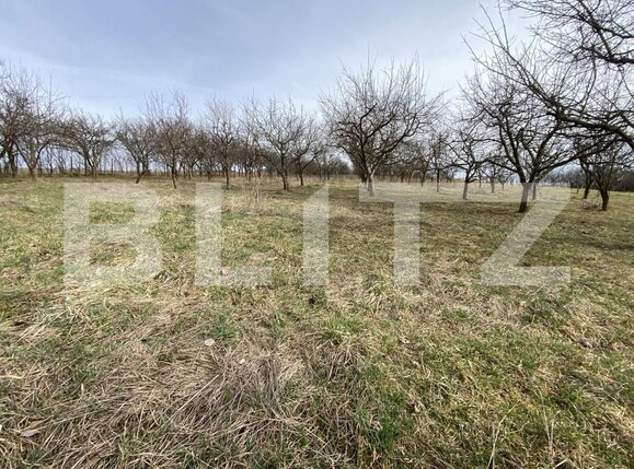 Teren de vânzare Exterior-Est - 167413TV | BLITZ Zalău | Poza8