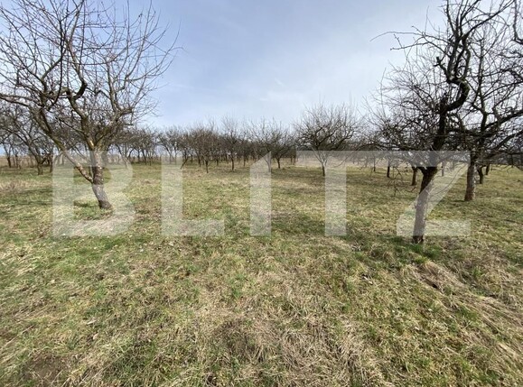 Teren de vânzare Exterior-Est - 167413TV | BLITZ Zalău | Poza5