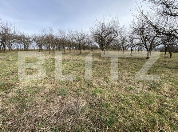 Teren de vânzare Exterior-Est - 167413TV | BLITZ Zalău | Poza6