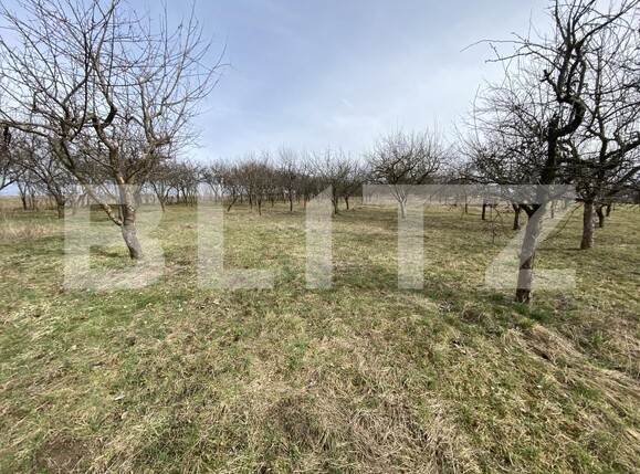 Teren de vânzare Exterior-Est - 167413TV | BLITZ Zalău | Poza1