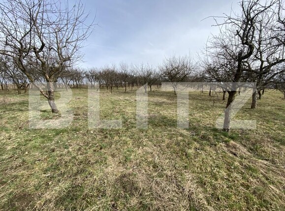 Teren de vânzare Exterior-Est - 167413TV | BLITZ Zalău | Poza3