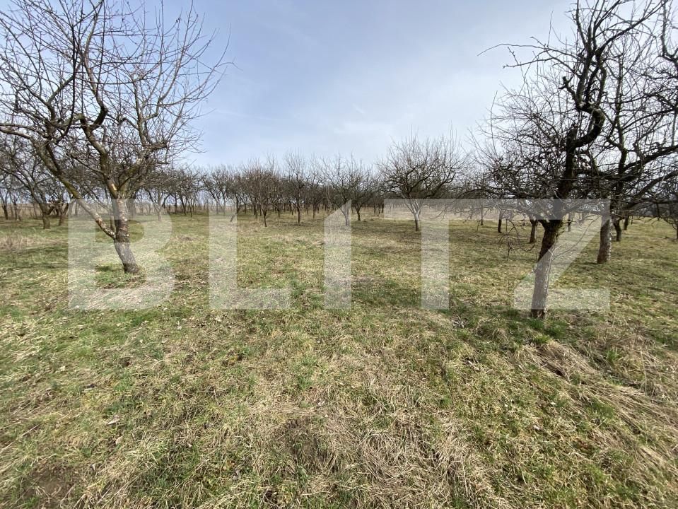 Teren de vânzare Exterior-Est - 167413TV | BLITZ Zalău | Poza4