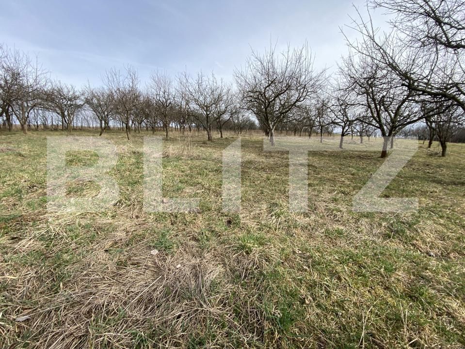 Teren de vânzare Exterior-Est - 167413TV | BLITZ Zalău | Poza7