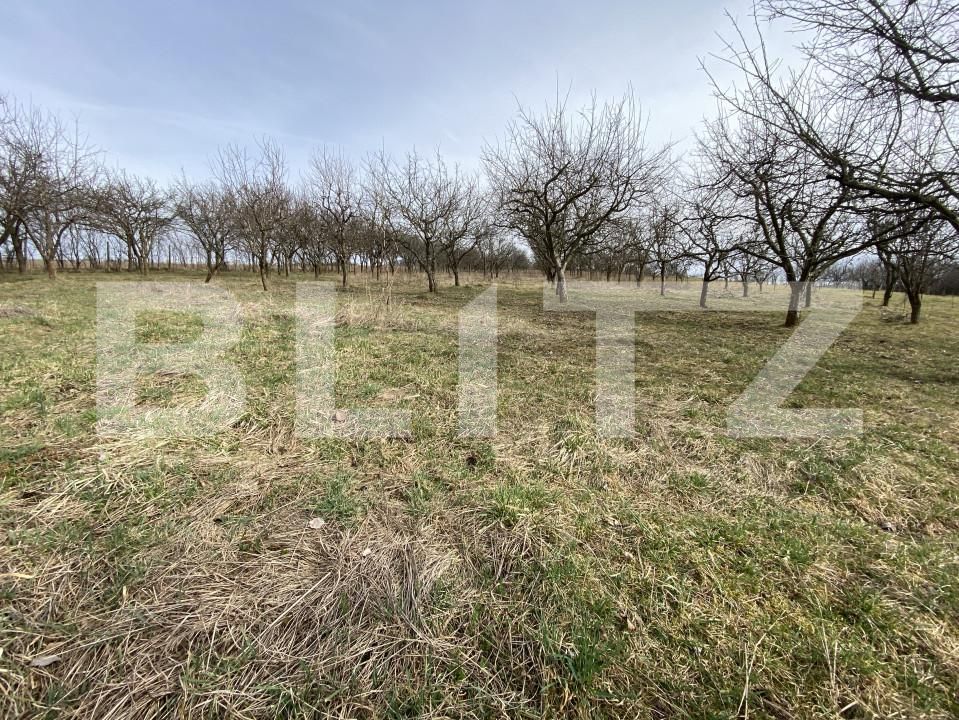 Teren de vânzare Exterior-Est - 167413TV | BLITZ Zalău | Poza8