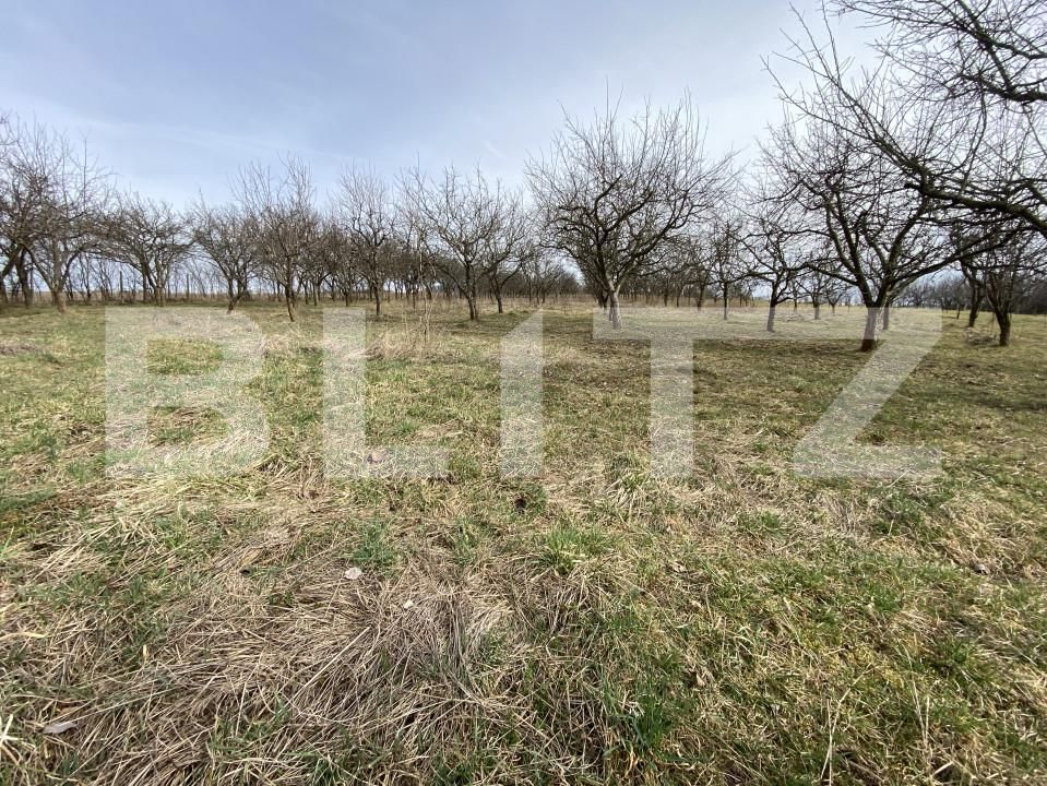 Teren de vânzare Exterior-Est - 167413TV | BLITZ Zalău | Poza6