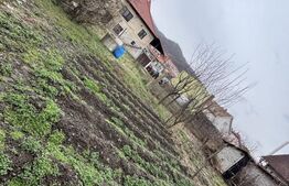 Casa de vanzare, gradina 500 mp