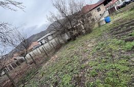 Casa de vanzare, gradina 500 mp