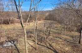 Casa de vanzare in Guruslau