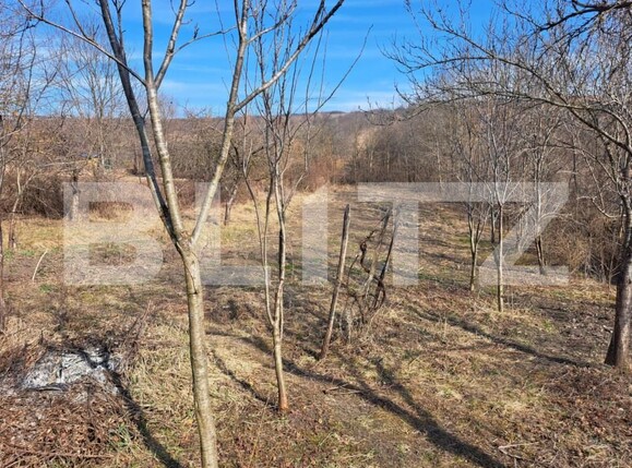 Casa de vânzare 3 camere Guruslau - 167544CV | BLITZ Zalău | Poza7