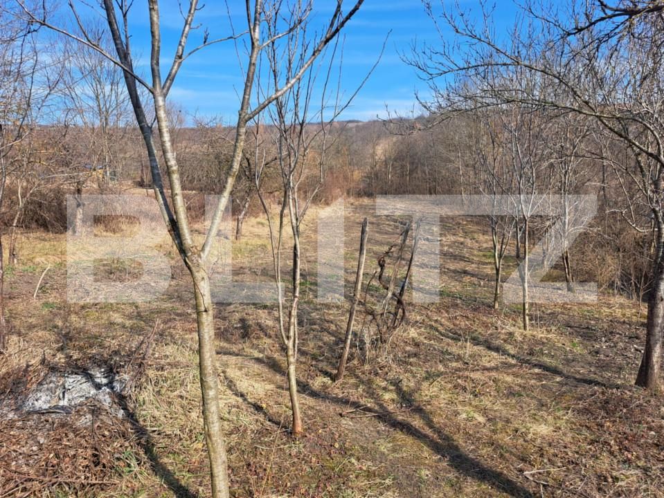 Casa de vânzare 3 camere Guruslau - 167544CV | BLITZ Zalău | Poza7