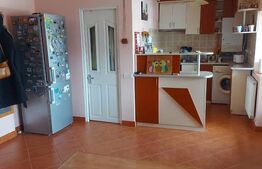 Apartament de vanzare, cu 2 camere, 49 mp, zona Brădet 