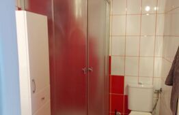 Apartament de vanzare, cu 2 camere, 49 mp, zona Brădet 