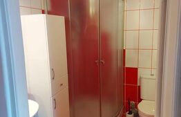 Apartament de vanzare, cu 2 camere, 49 mp, zona Brădet 