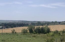 Teren extravilan, parcelat.