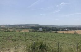 Teren extravilan, parcelat.