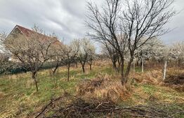 Teren intravilan de vanzare, 1.200mp, zona Porolisum