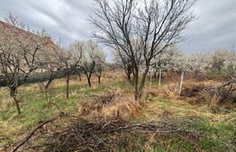 Teren intravilan de vanzare, 1.200mp, zona Porolisum