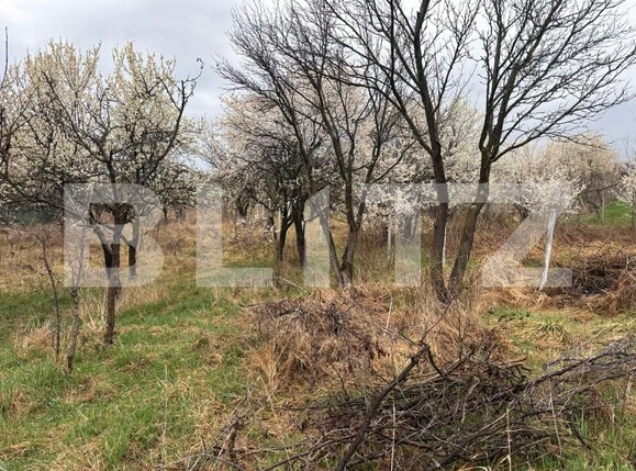 Teren de vânzare Porolissum - 167796TV | BLITZ Zalău | Poza2