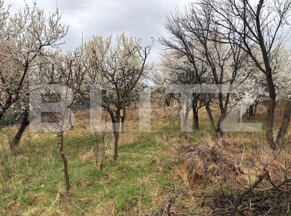 Teren de vânzare Porolissum - 167796TV | BLITZ Zalău | Poza4