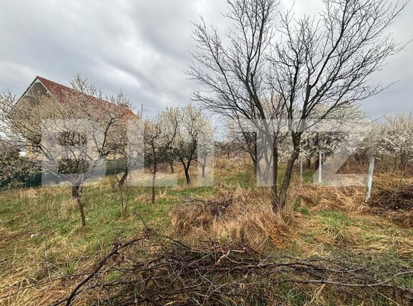 Teren de vânzare Porolissum - 167796TV | BLITZ Zalău | Poza3