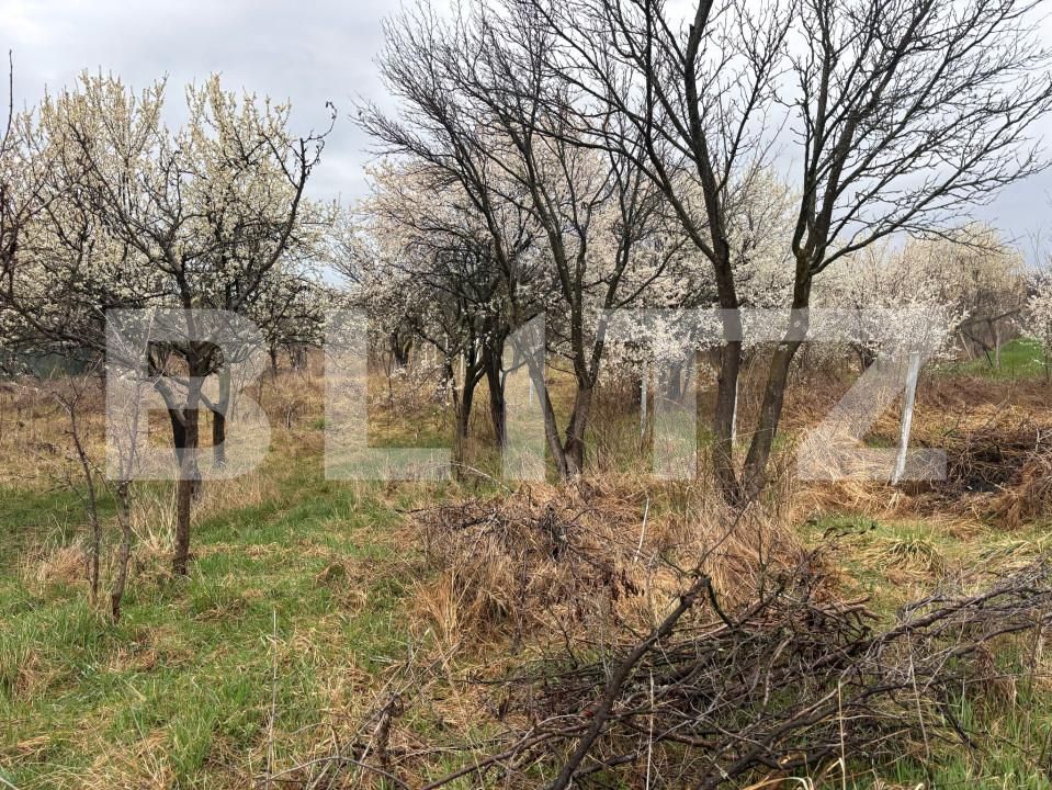 Teren de vânzare Porolissum - 167796TV | BLITZ Zalău | Poza2