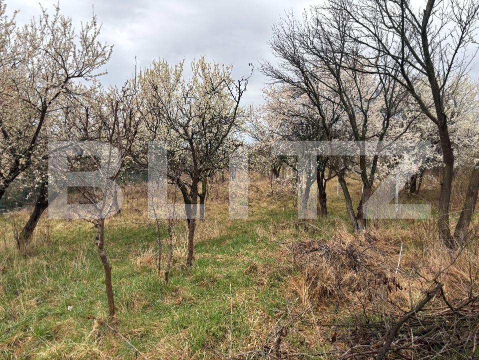 Teren de vânzare Porolissum - 167796TV | BLITZ Zalău | Poza4