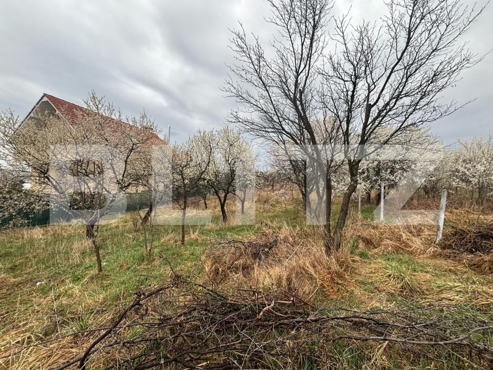 Teren de vânzare Porolissum - 167796TV | BLITZ Zalău | Poza3