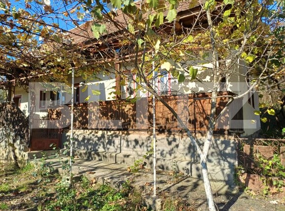 Casa de vânzare 2 camere Galgau Almasului - 167986CV | BLITZ Zalău | Poza1