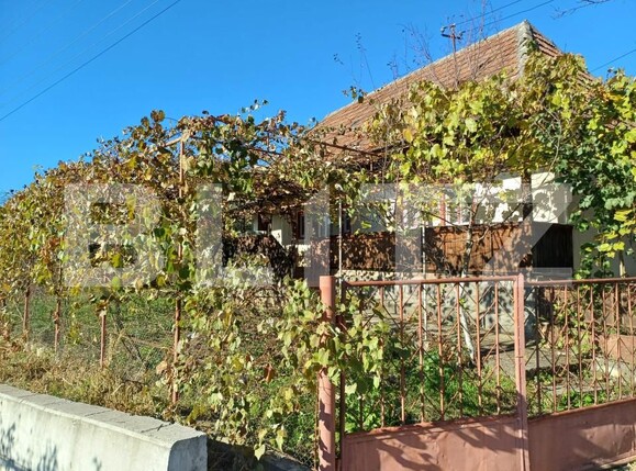 Casa de vânzare 2 camere Galgau Almasului - 167986CV | BLITZ Zalău | Poza3