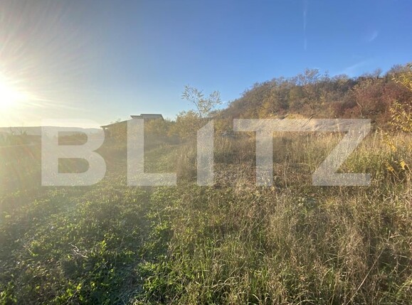 Teren de vânzare Exterior-Sud - 168399TV | BLITZ Zalău | Poza1