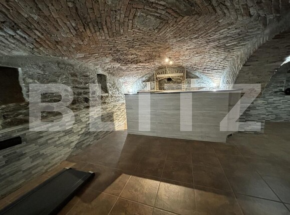 Spațiu comercial de închiriat Valcau de Jos - 168820SIC | BLITZ Zalău | Poza4