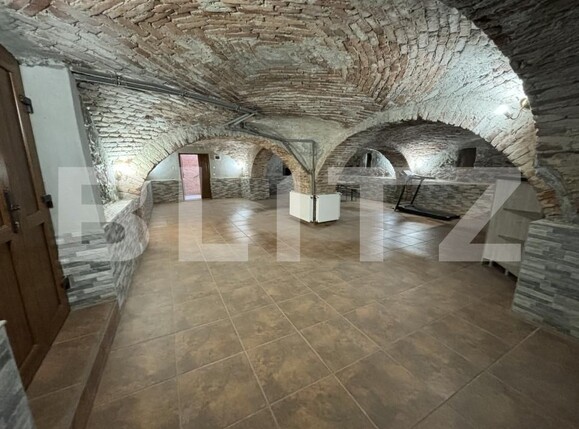 Spațiu comercial de închiriat Valcau de Jos - 168820SIC | BLITZ Zalău | Poza2