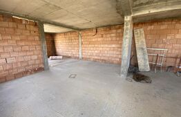 Apartament cu 3 camere, 77 mp, decomandat, curte 150 mp, zona Dumbrava Nord