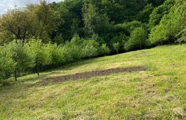 Casa de vanzare in Hida 