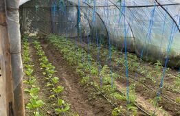 Casa de vanzare in Hida 