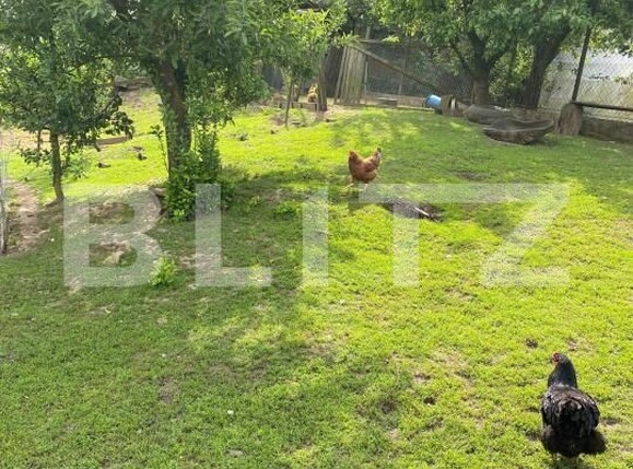 Casa de vânzare 5 camere Hida - 169892CV | BLITZ Zalău | Poza18