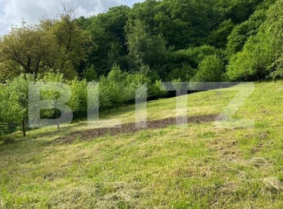 Casa de vânzare 5 camere Hida - 169892CV | BLITZ Zalău | Poza14