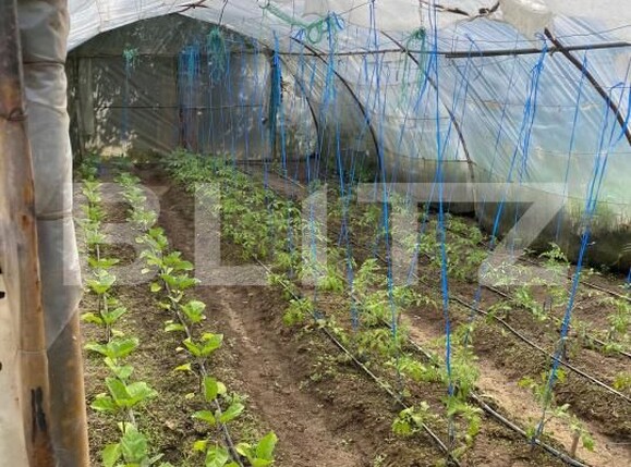 Casa de vânzare 5 camere Hida - 169892CV | BLITZ Zalău | Poza10