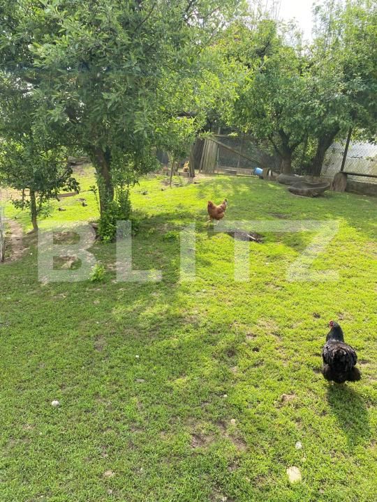 Casa de vânzare 5 camere Hida - 169892CV | BLITZ Zalău | Poza18