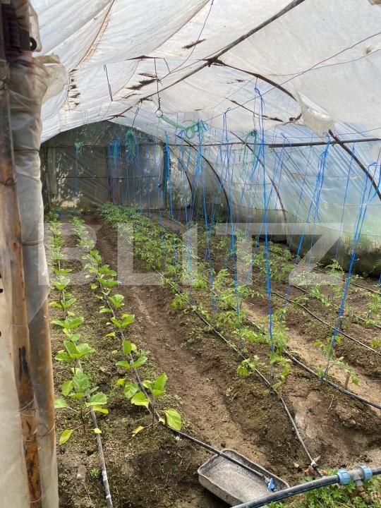 Casa de vânzare 5 camere Hida - 169892CV | BLITZ Zalău | Poza10